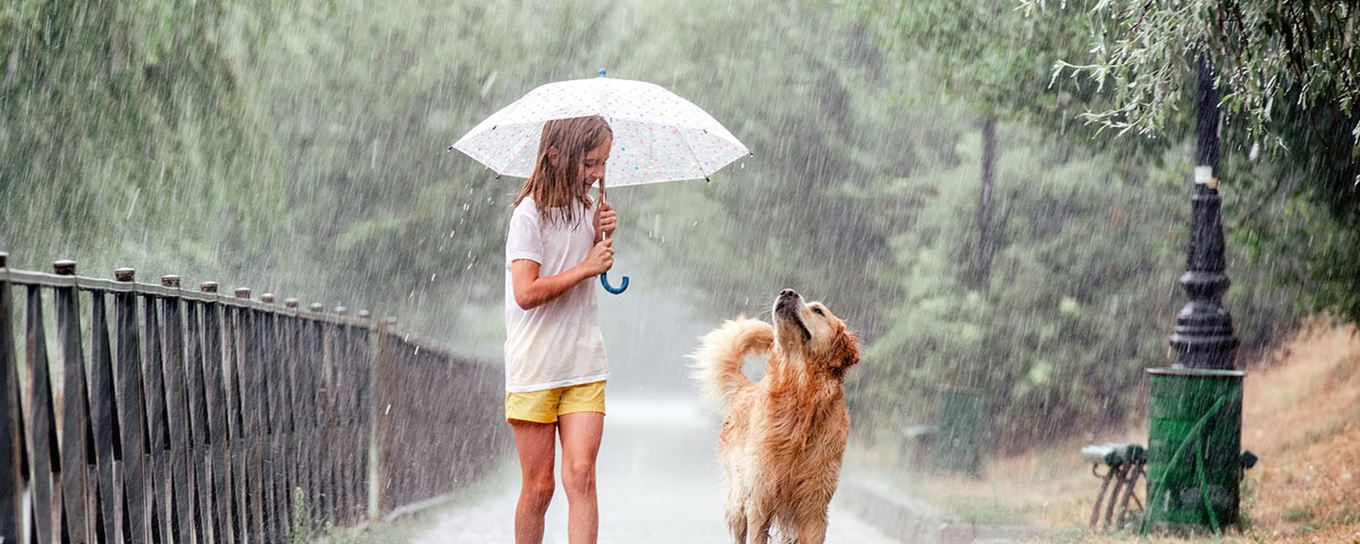 Kindje met paraplu en hond in de regen