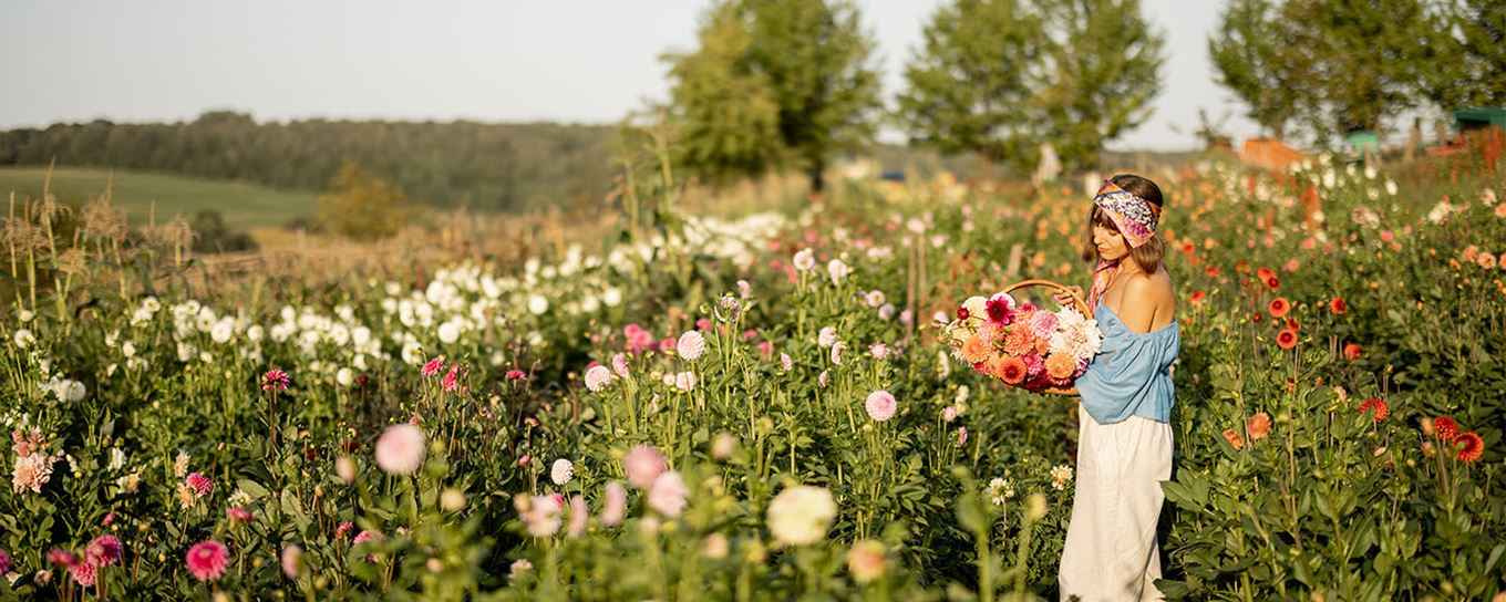 Vrouw in een bloemenveld