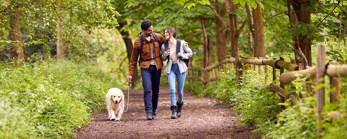 Afbeelding van een man met een vrouw en hond wandelend in het bos