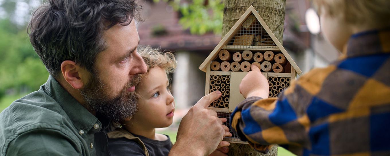 Afbeelding van een vader met zijn kinderen bij een insectenhotel